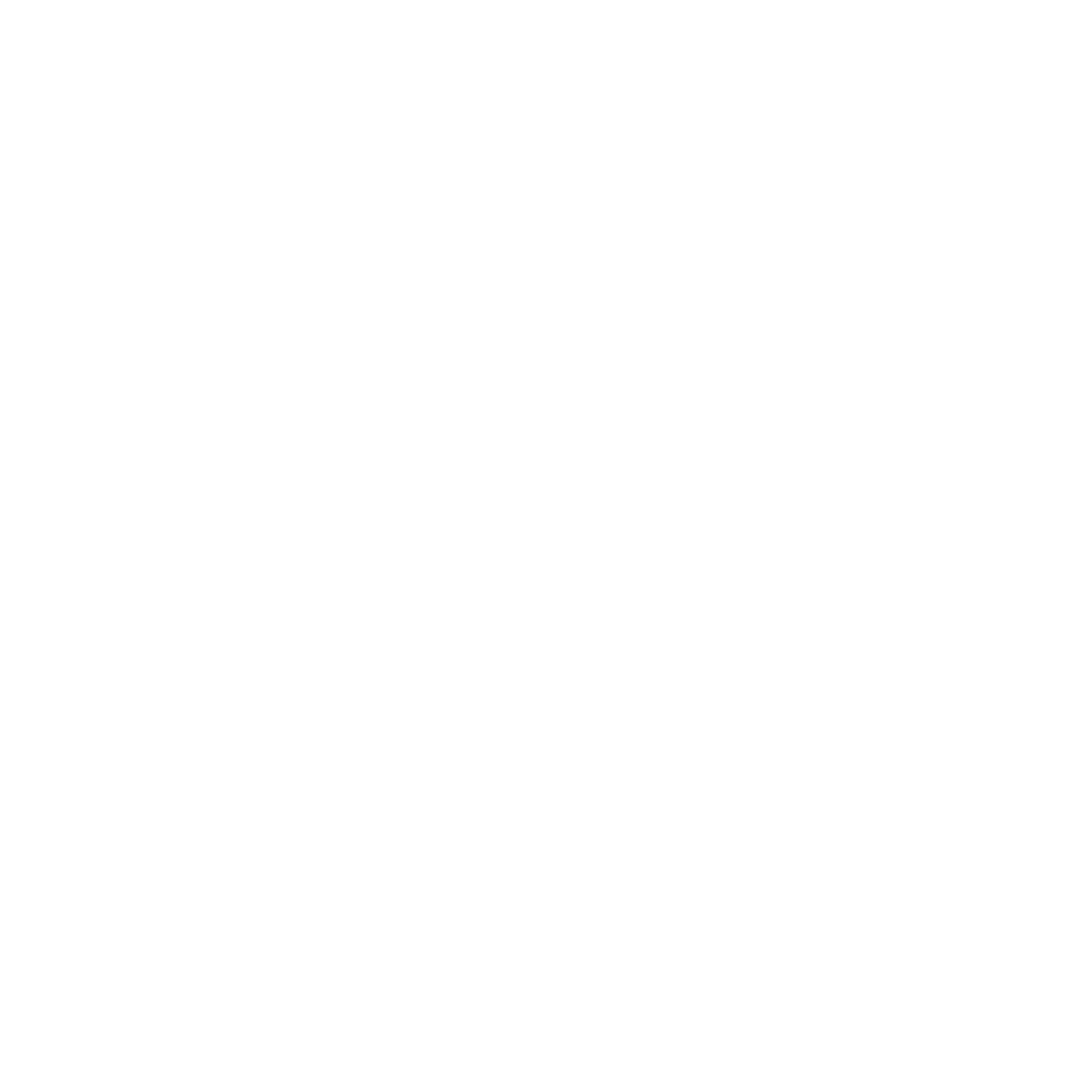 XS wordmark — white